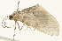  ( - 09BBELE-1904)  @12 [ ] CreativeCommons - Attribution (2010) Unspecified Centre for Biodiversity Genomics