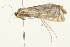  ( - 09BBELE-1907)  @13 [ ] CreativeCommons - Attribution (2010) Unspecified Centre for Biodiversity Genomics