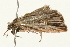  ( - 09BBELE-1911)  @12 [ ] CreativeCommons - Attribution (2010) Unspecified Centre for Biodiversity Genomics