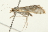  ( - 09BBELE-1913)  @13 [ ] CreativeCommons - Attribution (2010) Unspecified Centre for Biodiversity Genomics