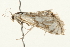  ( - 09BBELE-1918)  @13 [ ] CreativeCommons - Attribution (2010) Unspecified Centre for Biodiversity Genomics