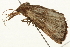  ( - 09BBELE-1923)  @12 [ ] CreativeCommons - Attribution (2010) Unspecified Centre for Biodiversity Genomics
