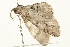 ( - 09BBELE-1948)  @12 [ ] CreativeCommons - Attribution (2010) Unspecified Centre for Biodiversity Genomics