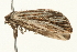  ( - 09BBELE-1969)  @12 [ ] CreativeCommons - Attribution (2010) Unspecified Centre for Biodiversity Genomics