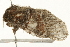  ( - 09BBELE-1992)  @13 [ ] CreativeCommons - Attribution (2010) Unspecified Centre for Biodiversity Genomics