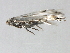  ( - 10BBCLP-2593)  @13 [ ] CreativeCommons - Attribution (2011) CBG Photography Group Centre for Biodiversity Genomics