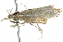  ( - 10BBCLP-2012)  @12 [ ] CreativeCommons - Attribution (2011) CBG Photography Group Centre for Biodiversity Genomics