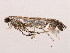  ( - 10BBCLP-2139)  @12 [ ] CreativeCommons - Attribution (2011) CBG Photography Group Centre for Biodiversity Genomics