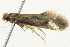  ( - 10BBCLP-2329)  @13 [ ] CreativeCommons - Attribution (2011) CBG Photography Group Centre for Biodiversity Genomics