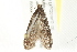  ( - 10BBCLP-2361)  @13 [ ] CreativeCommons - Attribution (2011) CBG Photography Group Centre for Biodiversity Genomics