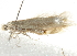  ( - 10BBCLP-2380)  @12 [ ] CreativeCommons - Attribution (2011) CBG Photography Group Centre for Biodiversity Genomics