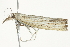  ( - 10BBCLP-2566)  @13 [ ] CreativeCommons - Attribution (2011) CBG Photography Group Centre for Biodiversity Genomics