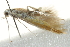  ( - 10BBCLP-2744)  @12 [ ] CreativeCommons - Attribution (2011) CBG Photography Group Centre for Biodiversity Genomics