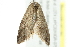  ( - 10BBCLP-2904)  @13 [ ] CreativeCommons - Attribution (2011) CBG Photography Group Centre for Biodiversity Genomics