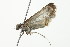  ( - 10BBCLP-2804)  @12 [ ] CreativeCommons - Attribution (2011) CBG Photography Group Centre for Biodiversity Genomics