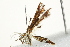  ( - 10BBCLP-2822)  @12 [ ] CreativeCommons - Attribution (2011) CBG Photography Group Centre for Biodiversity Genomics