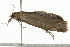  ( - 09BBELE-2594)  @12 [ ] CreativeCommons - Attribution (2009) Unspecified Centre for Biodiversity Genomics