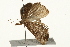  ( - 09BBELE-2002)  @12 [ ] CreativeCommons - Attribution (2010) Unspecified Centre for Biodiversity Genomics