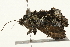  ( - 09BBELE-2015)  @12 [ ] CreativeCommons - Attribution (2010) Unspecified Centre for Biodiversity Genomics