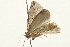  ( - 09BBELE-2040)  @12 [ ] CreativeCommons - Attribution (2010) Unspecified Centre for Biodiversity Genomics