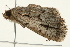  ( - 09BBELE-2068)  @12 [ ] CreativeCommons - Attribution (2010) Unspecified Centre for Biodiversity Genomics