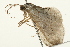  ( - 09BBELE-2076)  @12 [ ] CreativeCommons - Attribution (2010) Unspecified Centre for Biodiversity Genomics