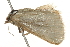  ( - 09BBELE-2156)  @13 [ ] CreativeCommons - Attribution (2010) Unspecified Centre for Biodiversity Genomics