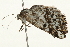  ( - 09BBELE-2201)  @13 [ ] CreativeCommons - Attribution (2010) Unspecified Centre for Biodiversity Genomics