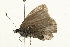  ( - 09BBELE-2252)  @12 [ ] CreativeCommons - Attribution (2010) Unspecified Centre for Biodiversity Genomics