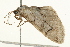  ( - 09BBELE-2259)  @12 [ ] CreativeCommons - Attribution (2010) Unspecified Centre for Biodiversity Genomics