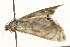  ( - 09BBELE-2283)  @13 [ ] CreativeCommons - Attribution (2010) Unspecified Centre for Biodiversity Genomics
