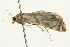  ( - 09BBELE-2285)  @13 [ ] CreativeCommons - Attribution (2010) Unspecified Centre for Biodiversity Genomics