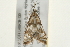  ( - 09BBELE-2286)  @13 [ ] CreativeCommons - Attribution (2010) Unspecified Centre for Biodiversity Genomics