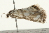  ( - 09BBELE-2287)  @13 [ ] CreativeCommons - Attribution (2010) Unspecified Centre for Biodiversity Genomics