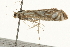  ( - 09BBELE-2289)  @13 [ ] CreativeCommons - Attribution (2010) Unspecified Centre for Biodiversity Genomics