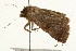  ( - 09BBELE-2317)  @12 [ ] CreativeCommons - Attribution (2010) Unspecified Centre for Biodiversity Genomics
