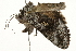  ( - 09BBELE-2344)  @13 [ ] CreativeCommons - Attribution (2010) Unspecified Centre for Biodiversity Genomics
