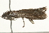  ( - 09BBELE-2379)  @14 [ ] CreativeCommons - Attribution (2010) Unspecified Centre for Biodiversity Genomics