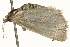  ( - 09BBELE-2401)  @13 [ ] CreativeCommons - Attribution (2010) Unspecified Centre for Biodiversity Genomics