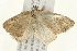  ( - 09BBELE-2470)  @13 [ ] CreativeCommons - Attribution (2010) Unspecified Centre for Biodiversity Genomics