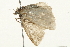  ( - 09BBELE-2473)  @13 [ ] CreativeCommons - Attribution (2010) Unspecified Centre for Biodiversity Genomics
