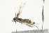  ( - 10BBCLP-3064)  @12 [ ] CreativeCommons - Attribution (2011) CBG Photography Group Centre for Biodiversity Genomics