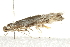  ( - 10BBCLP-3129)  @12 [ ] CreativeCommons - Attribution (2011) CBG Photography Group Centre for Biodiversity Genomics