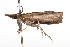  ( - 09BBLEP-04374)  @12 [ ] CreativeCommons - Attribution (2009) Unspecified Centre for Biodiversity Genomics