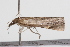  ( - 09BBLEP-04378)  @12 [ ] CreativeCommons - Attribution (2009) Unspecified Centre for Biodiversity Genomics