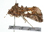  ( - 09BBLEP-04384)  @12 [ ] CreativeCommons - Attribution (2009) Unspecified Centre for Biodiversity Genomics