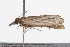  ( - 09BBLEP-04386)  @12 [ ] CreativeCommons - Attribution (2009) Unspecified Centre for Biodiversity Genomics