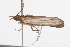  ( - 09BBLEP-04389)  @12 [ ] CreativeCommons - Attribution (2009) Unspecified Centre for Biodiversity Genomics