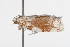  ( - 09BBLEP-04400)  @12 [ ] CreativeCommons - Attribution (2009) Unspecified Centre for Biodiversity Genomics