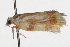  ( - 09BBLEP-04405)  @12 [ ] CreativeCommons - Attribution (2009) Unspecified Centre for Biodiversity Genomics